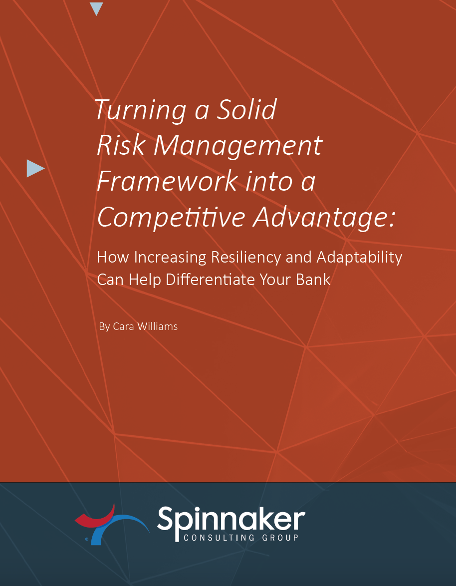 Turning A Solid Risk Management Framework into a Competitive Advantage Whitepaper